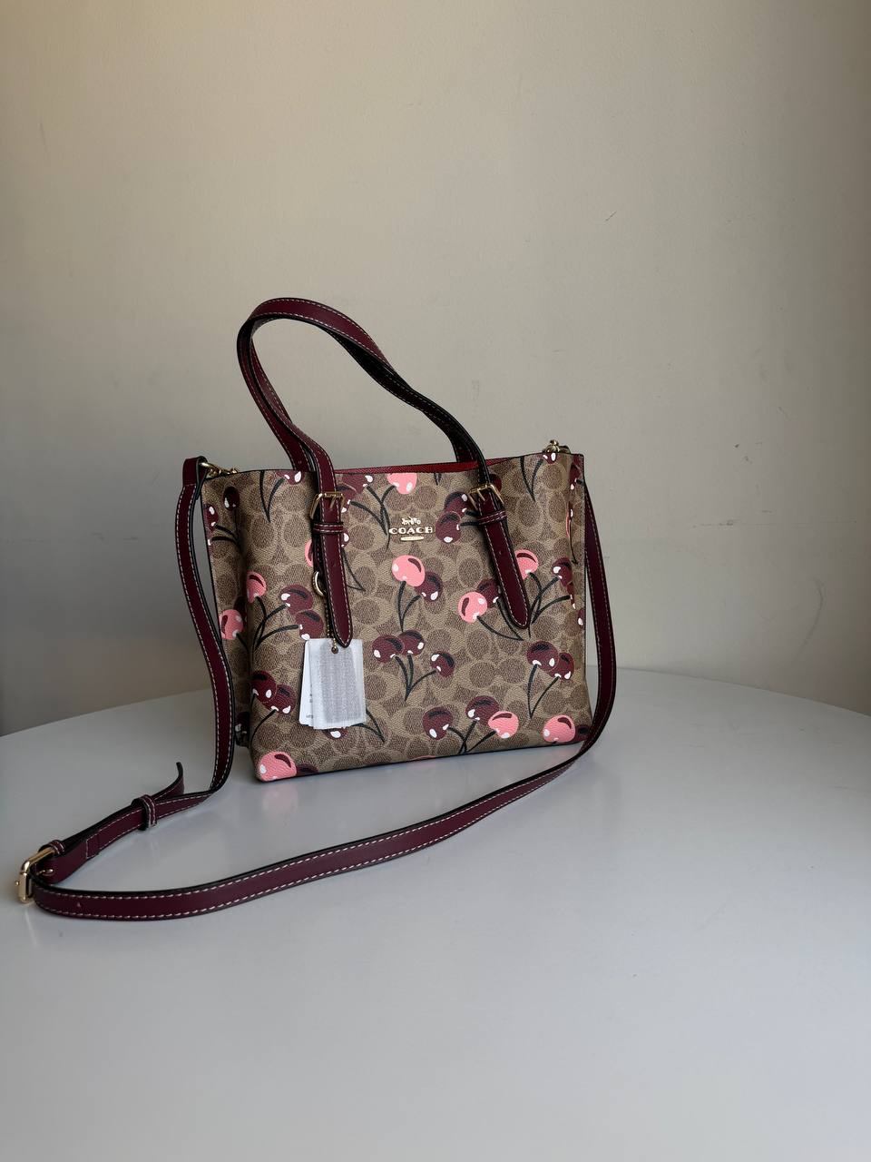 Coach Mollie tote bag 25