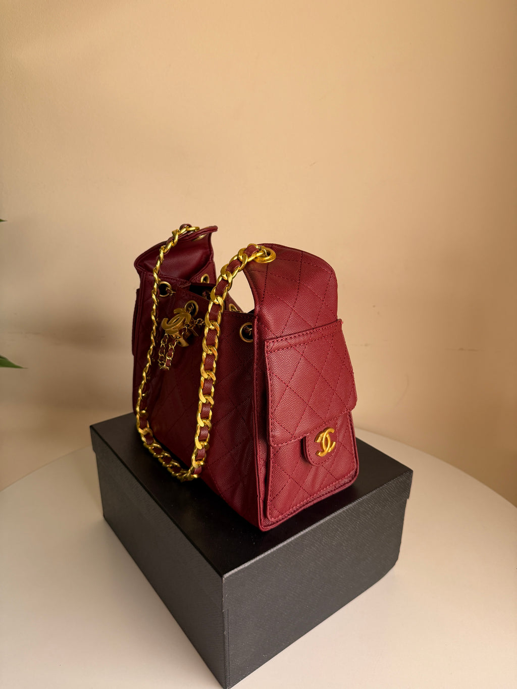 Chanel hobo bag 25
