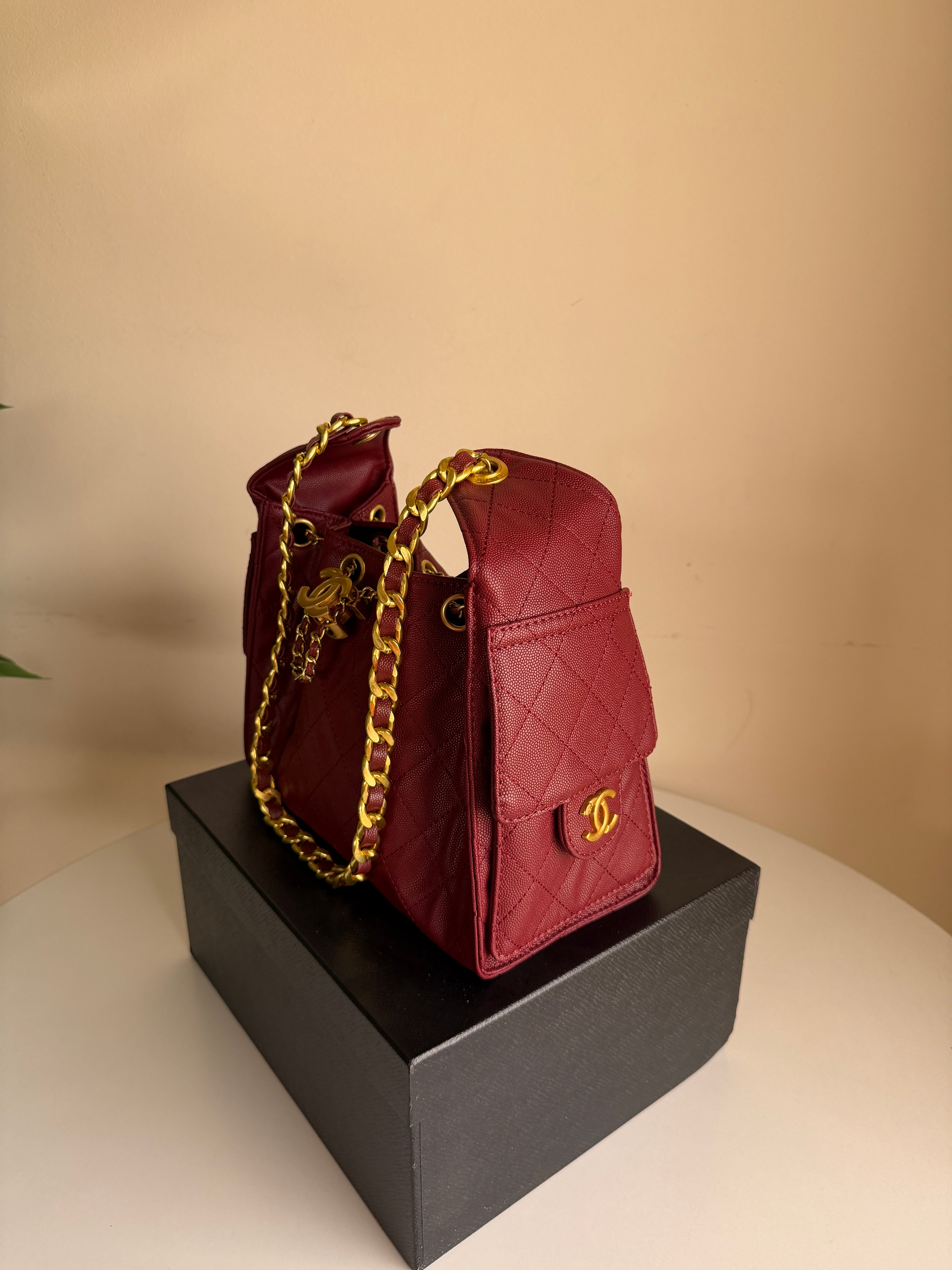 Chanel hobo bag 25