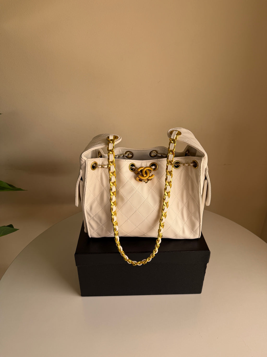 Chanel hobo bag 25