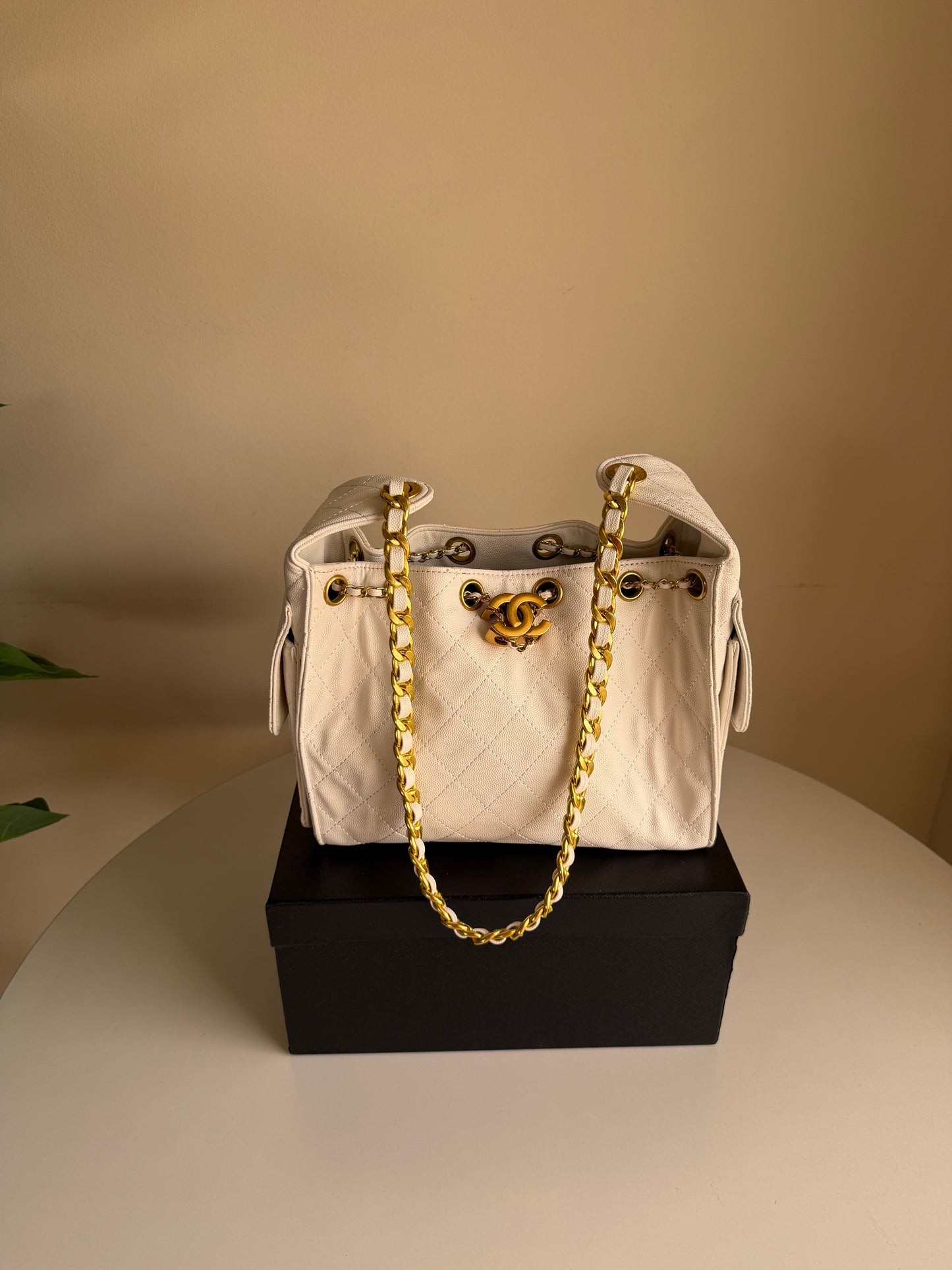 Chanel hobo bag 25