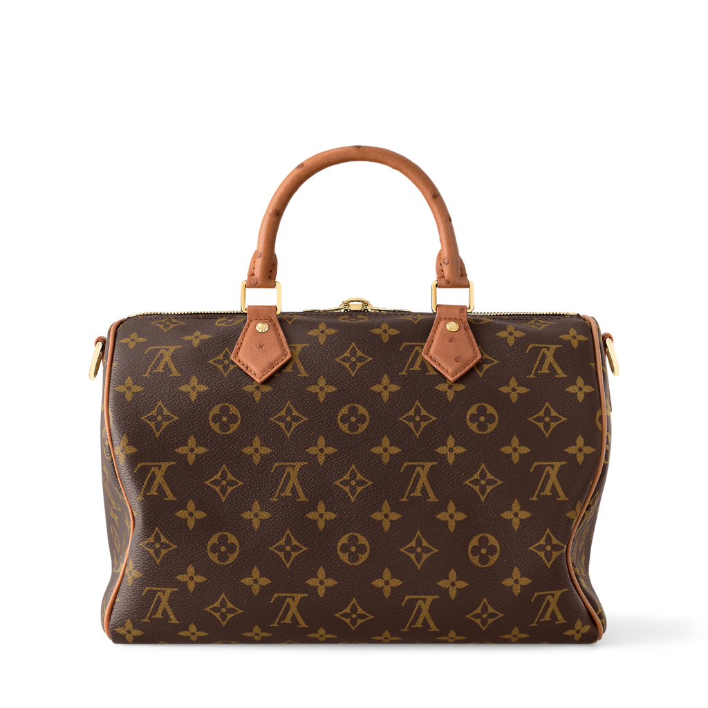 Louis Vuitton Speedy 30 Crafty