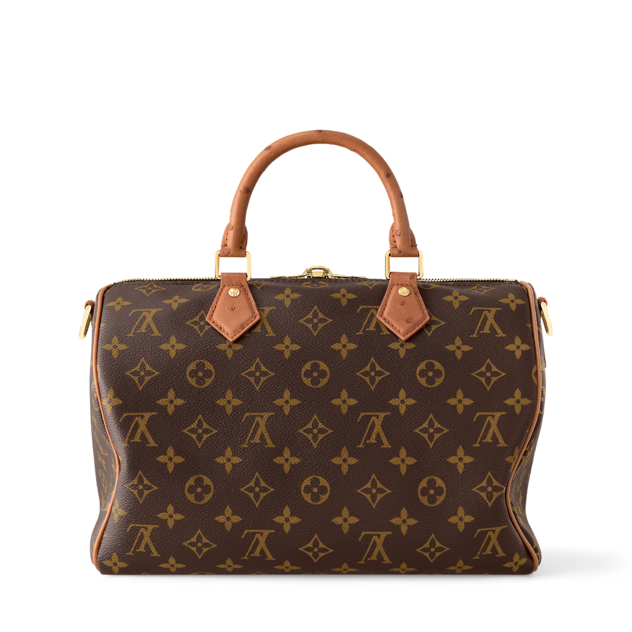 Louis Vuitton Speedy 30 Crafty