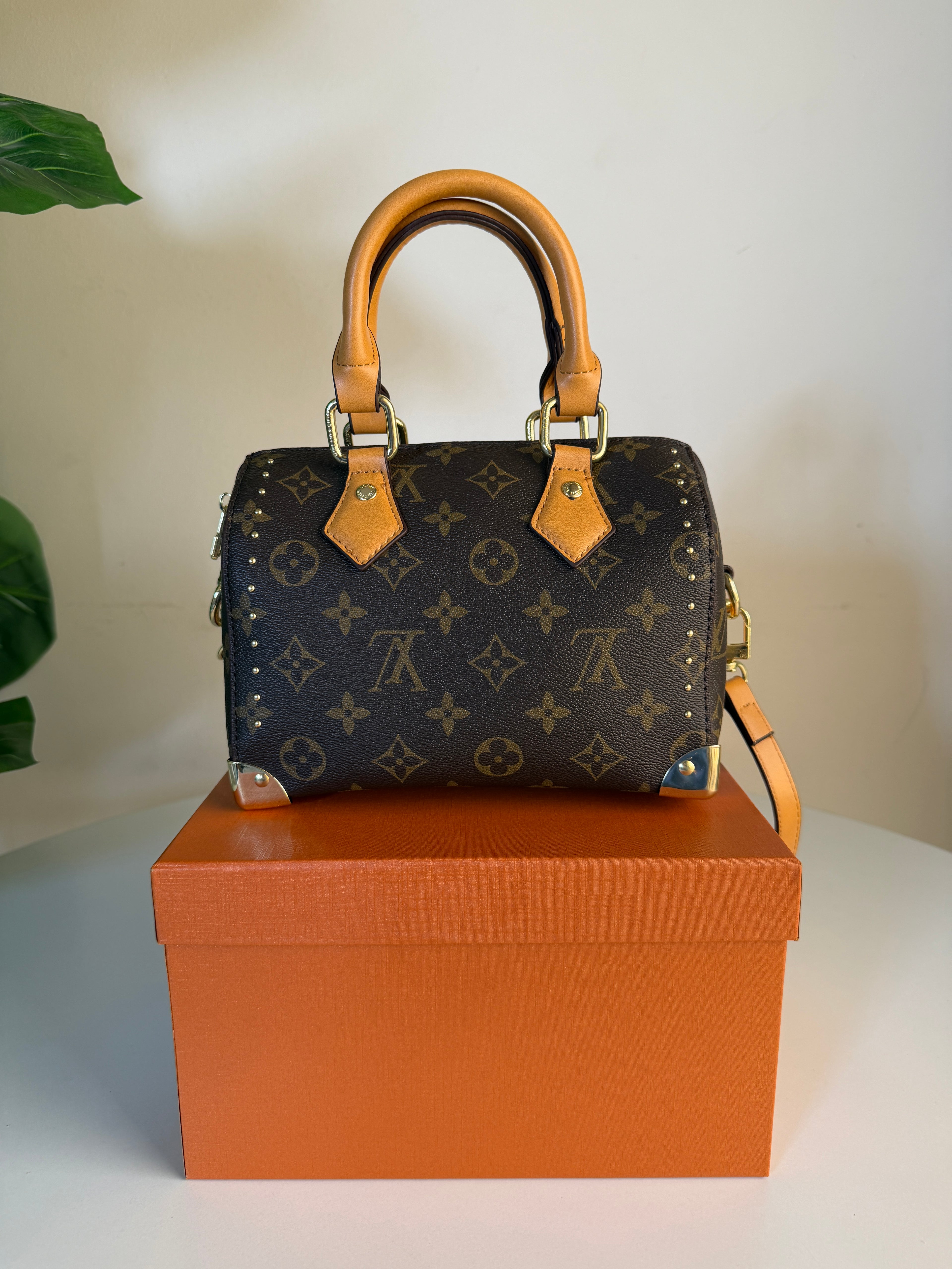 Louis Vuitton speedy trunk 20