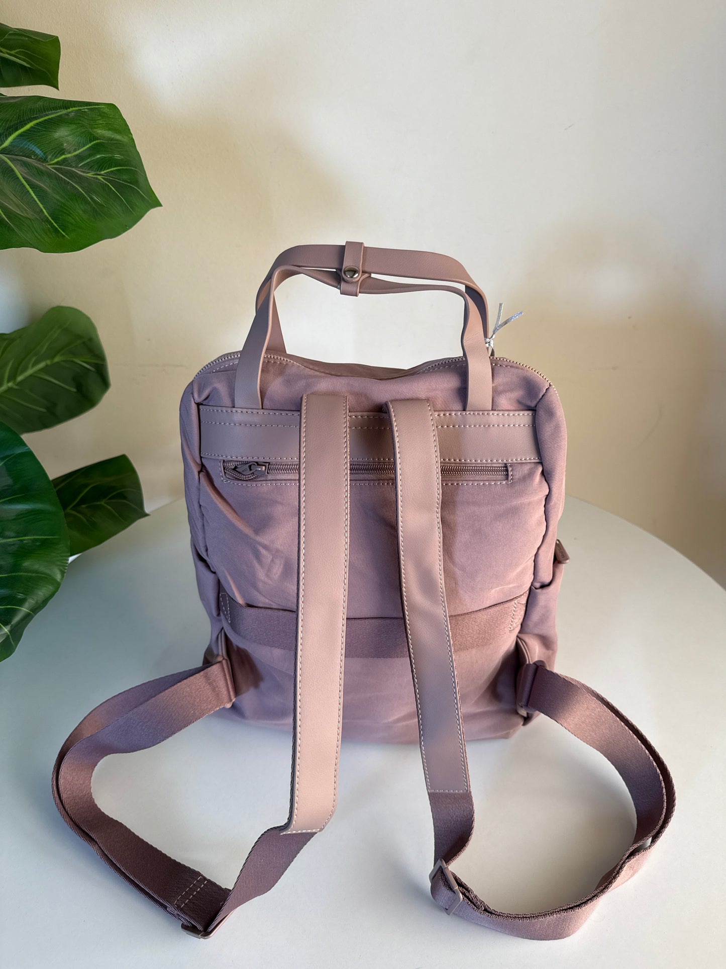 David jones back bag