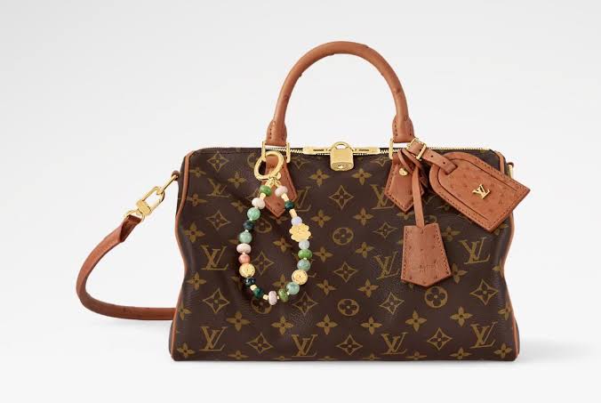 Louis Vuitton Speedy 30 Crafty