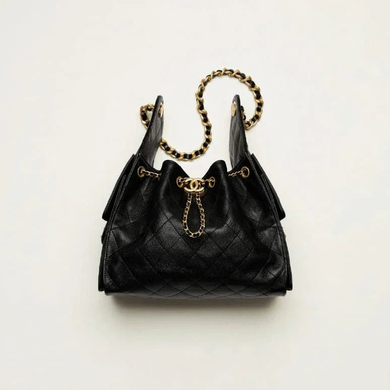 Chanel hobo bag 25 small