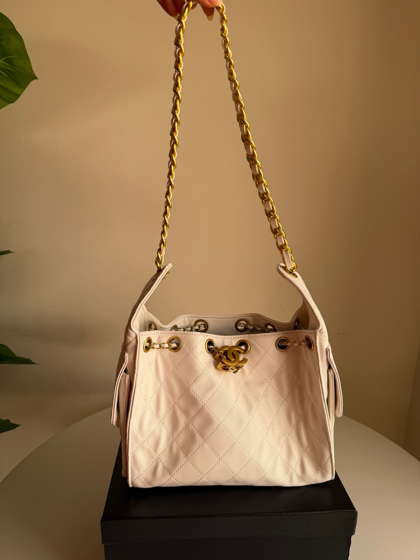 Chanel hobo bag 25