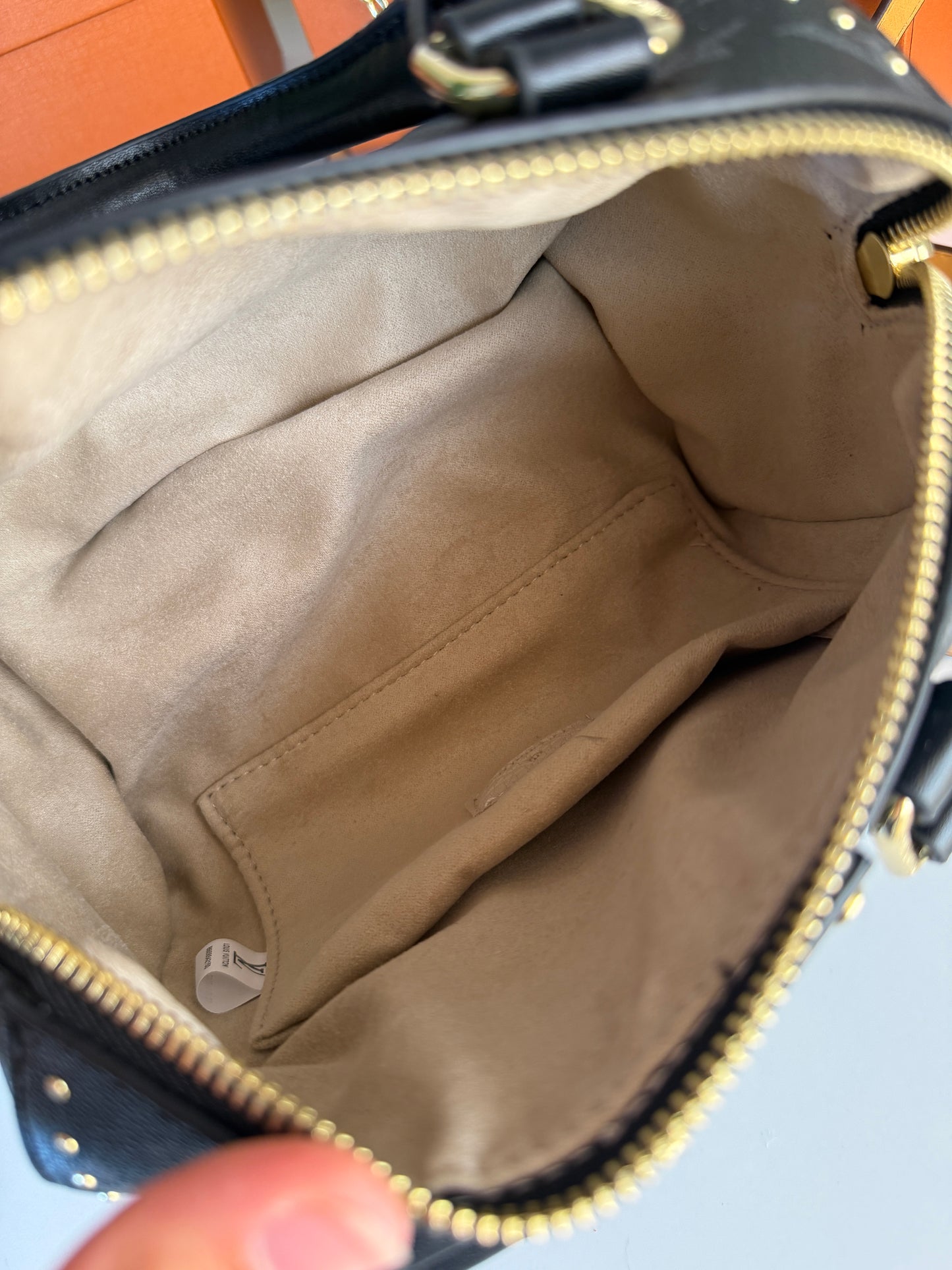 Louis Vuitton speedy trunk 20
