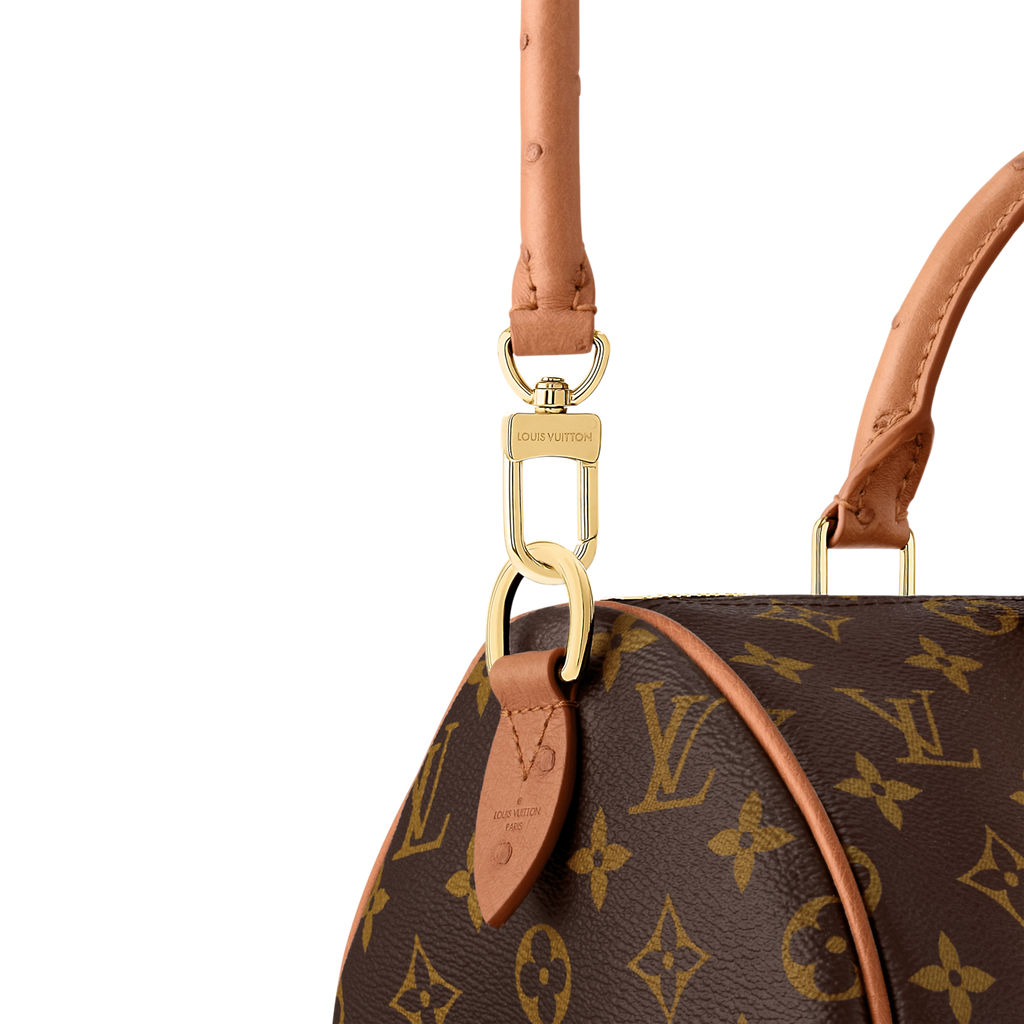Louis Vuitton Speedy 30 Crafty