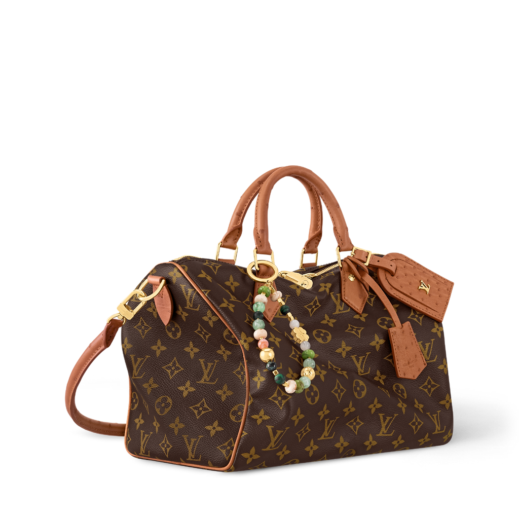 Louis Vuitton Speedy 30 Crafty
