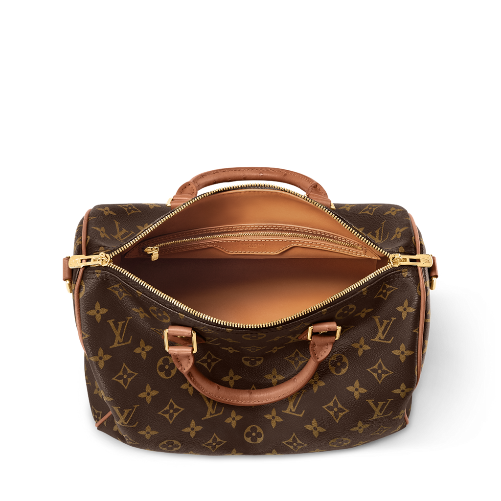 Louis Vuitton Speedy 30 Crafty