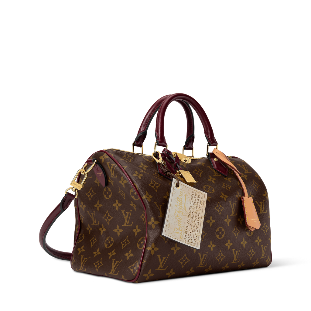 Louis Vuitton Speedy 30 Crafty - burgundy hand