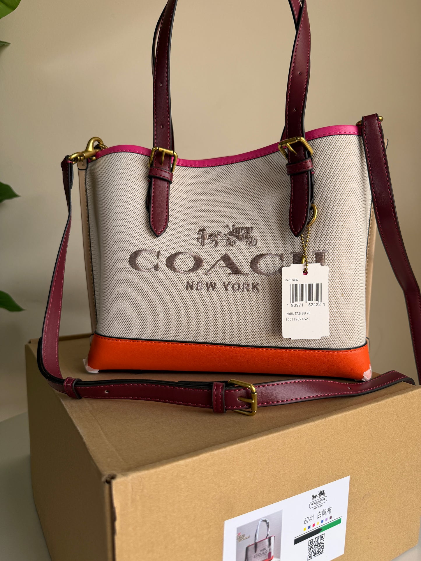 Coach Canvas tote bag 25 (Medium)