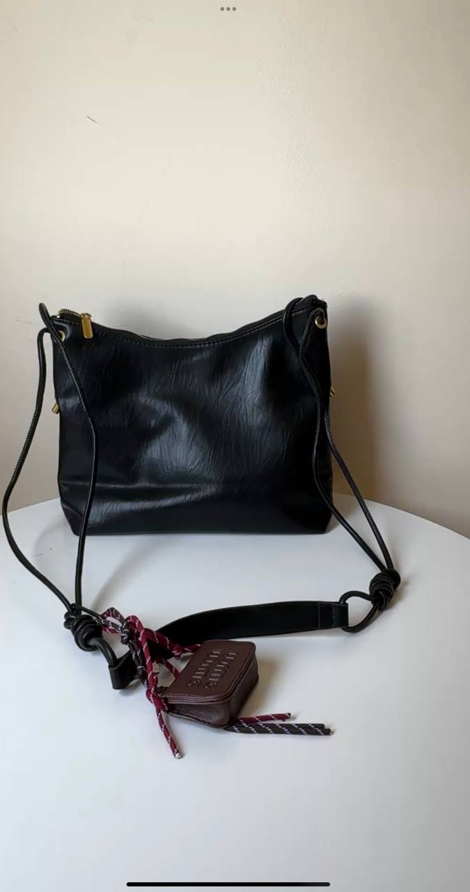 Miu miu boho chic bag