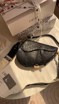 Dior saddle Calfskin (Gold accessories )