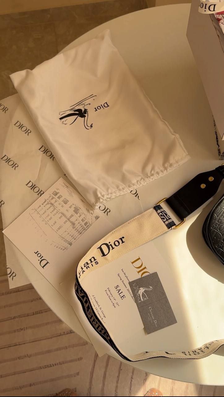 Dior saddle Calfskin (Gold accessories )