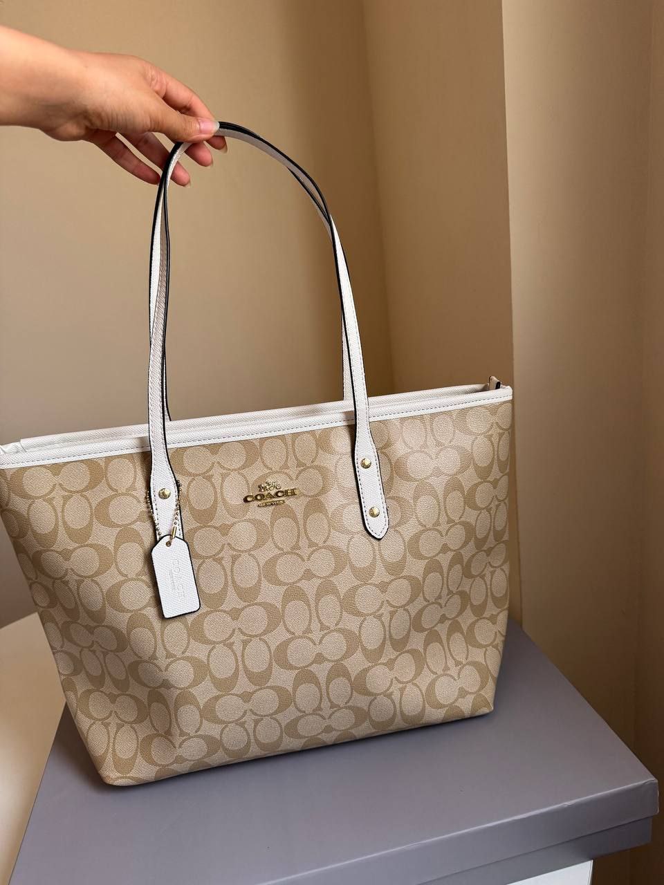 Coach signature canvas