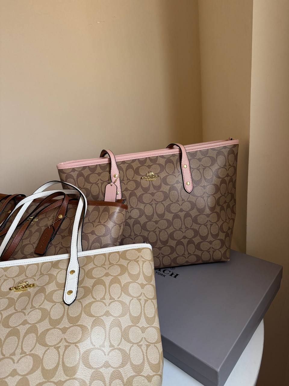 Coach signature canvas