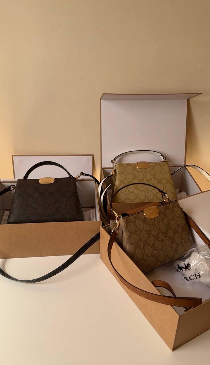 COACH Eliza Mini Carryall bag.