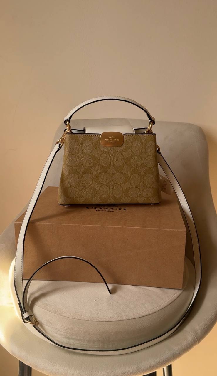COACH Eliza Mini Carryall bag.