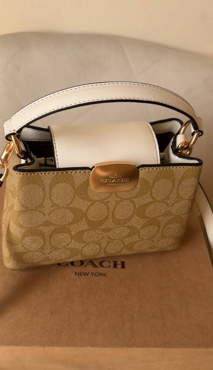 COACH Eliza Mini Carryall bag.