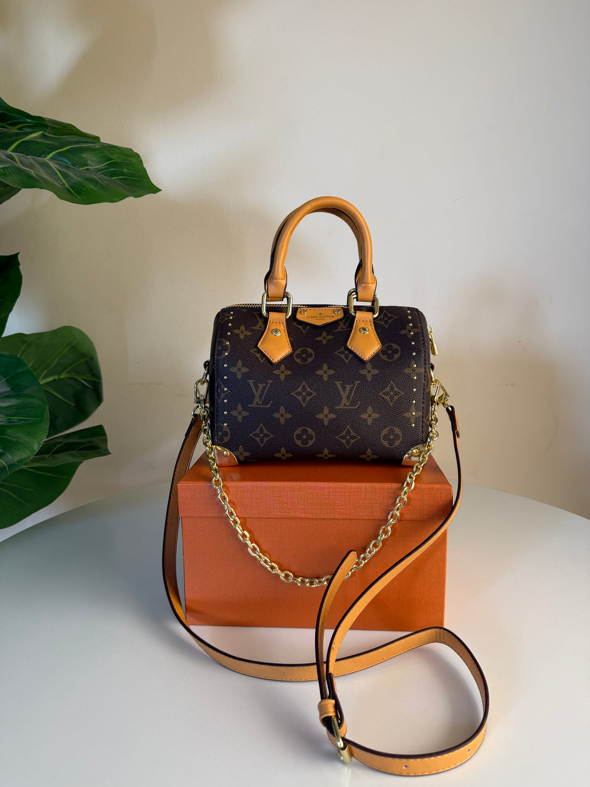 Louis Vuitton speedy trunk 20