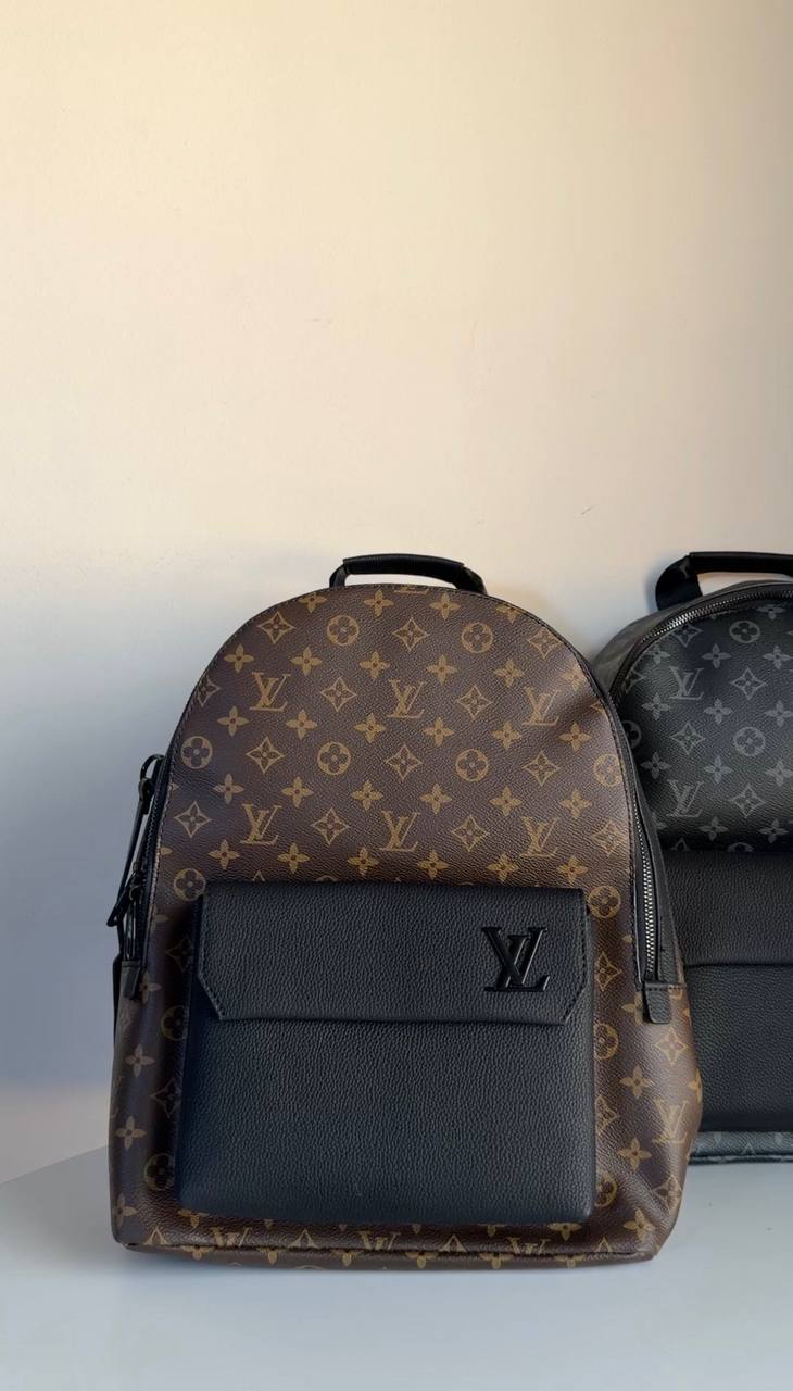 Louis Vuitton back bag Aerogram