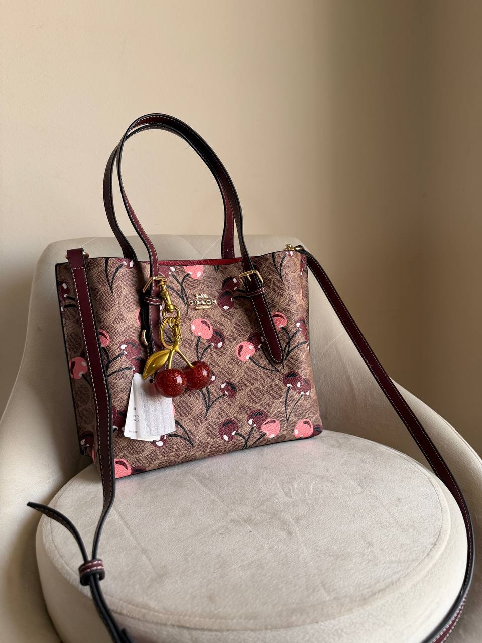 Coach Mollie tote bag 25