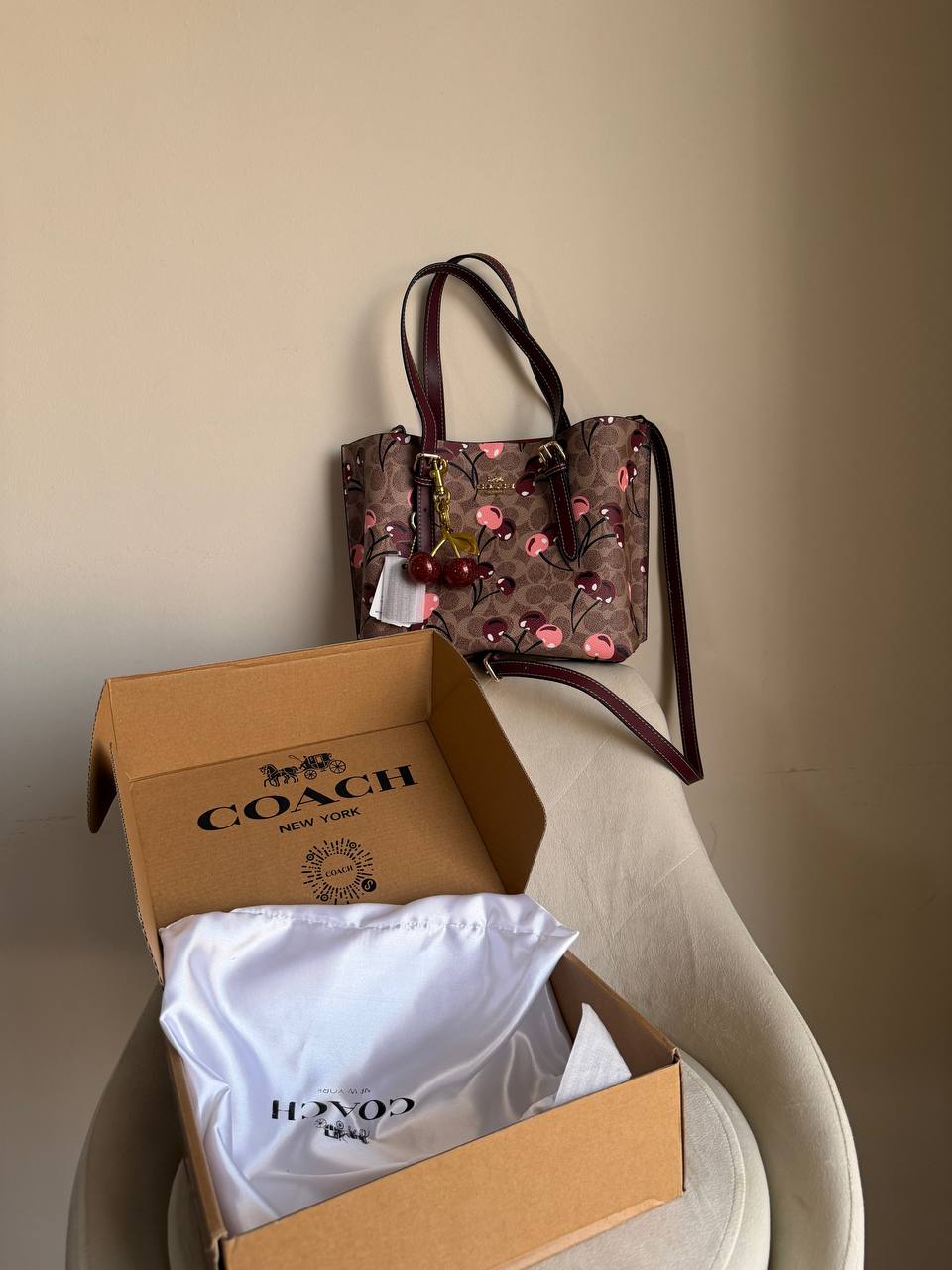 Coach Mollie tote bag 25