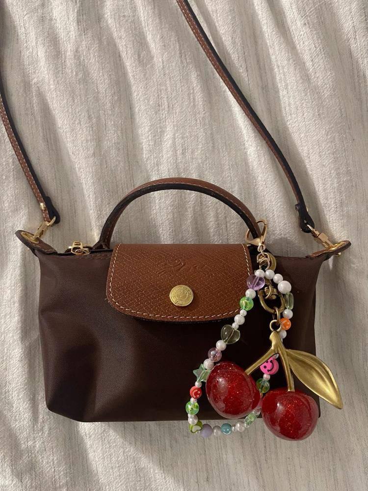 Long champ mini