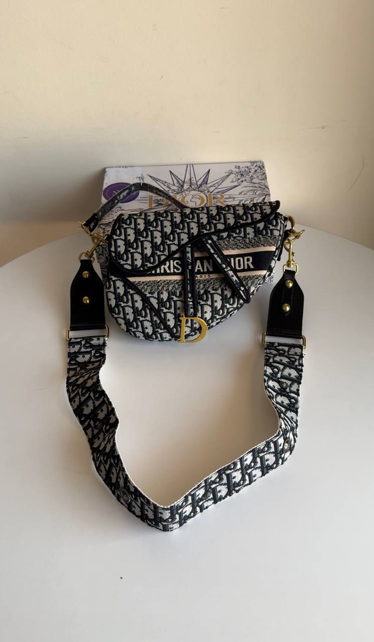 Dior saddle oblique embroidery