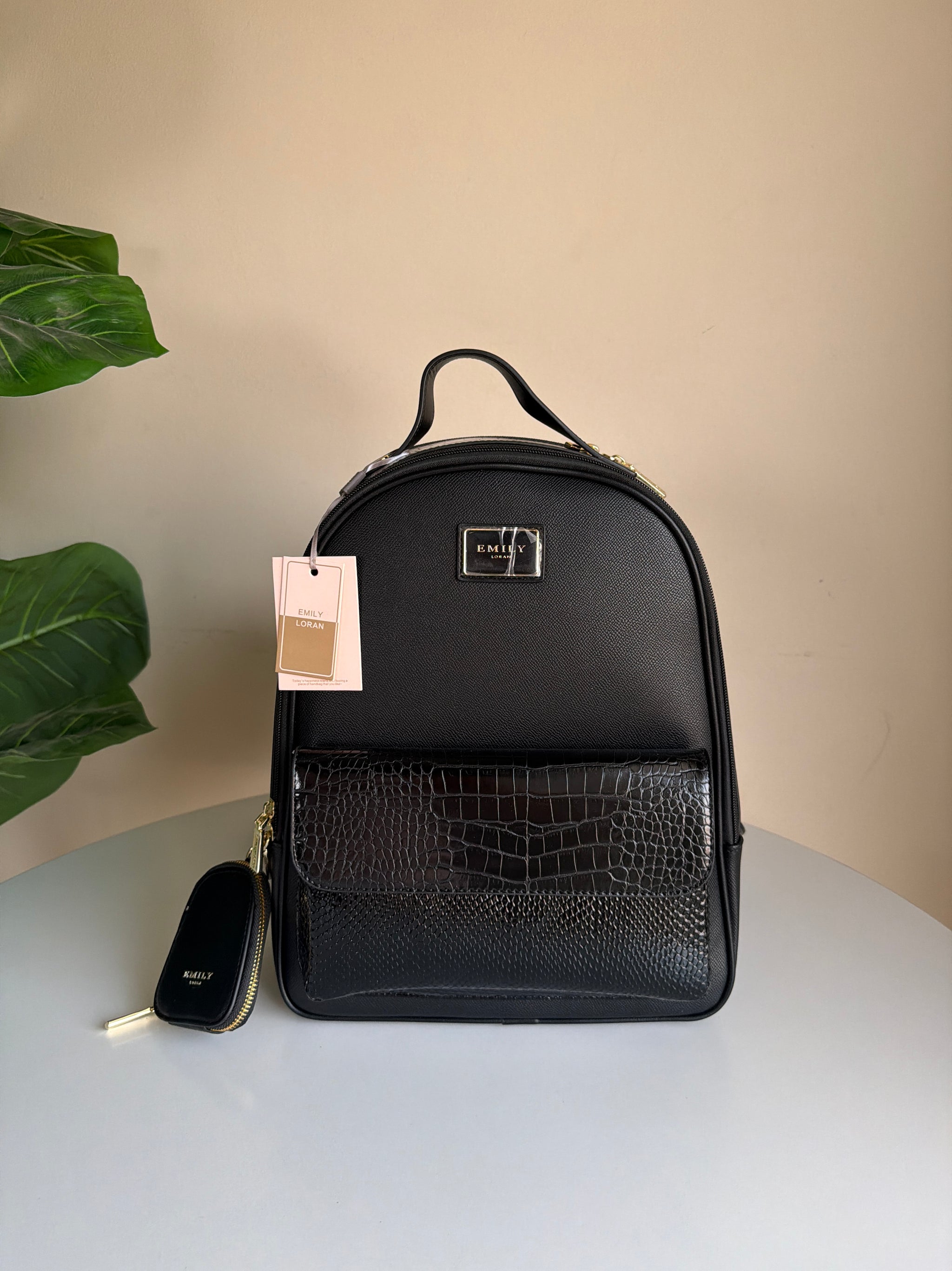 Emily loran back bag