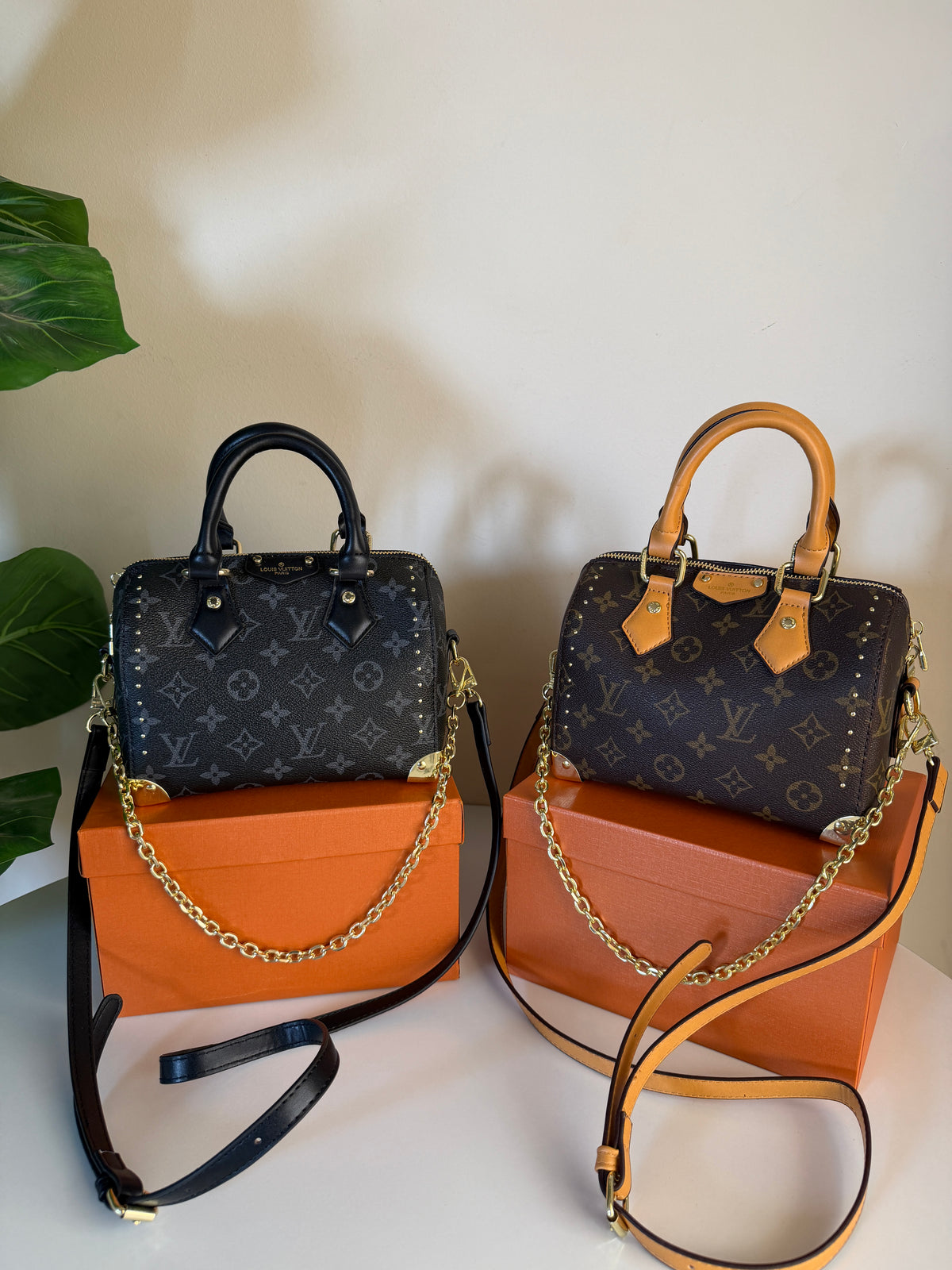 Louis Vuitton speedy trunk 20
