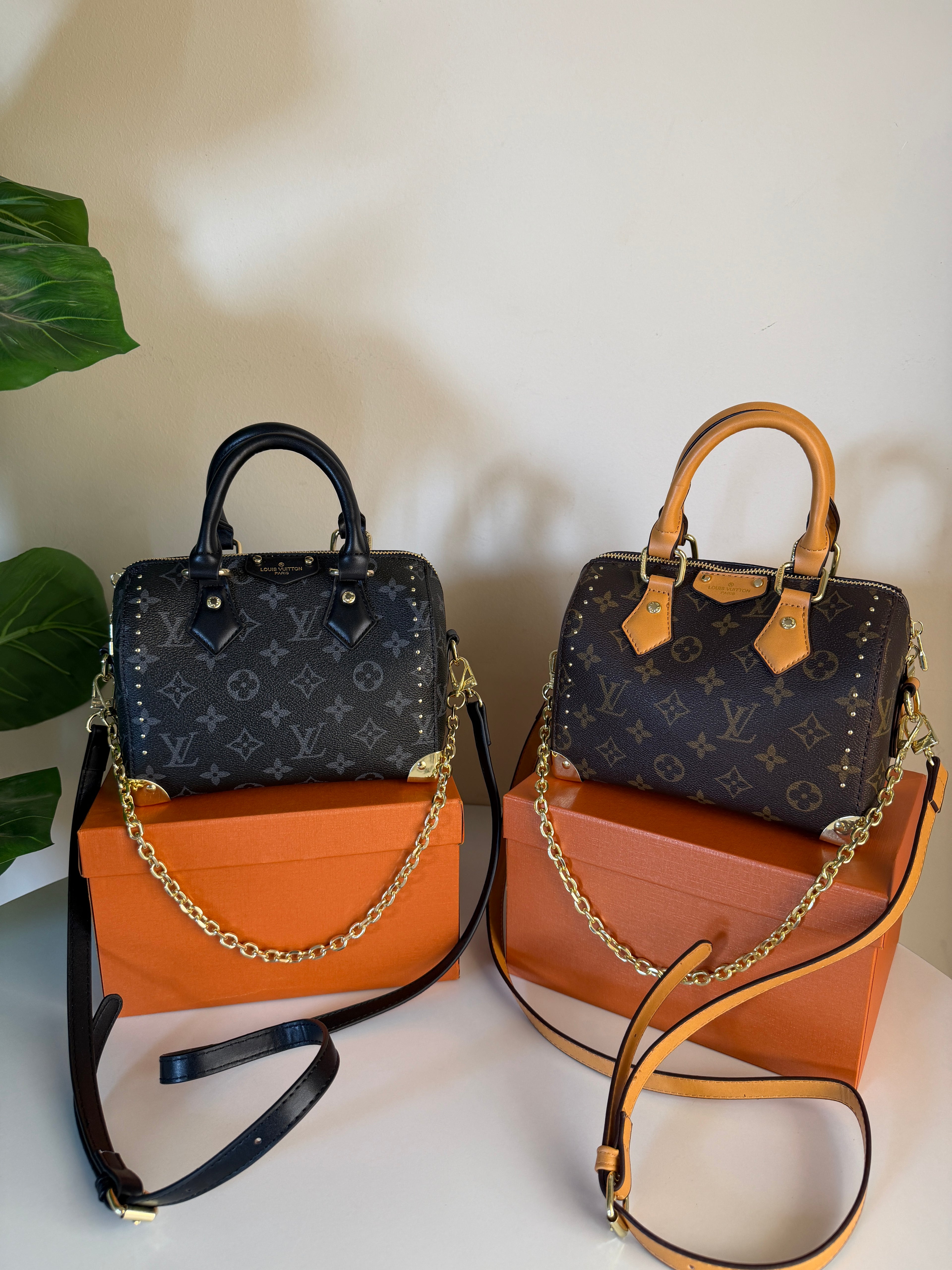 Louis Vuitton speedy trunk 20