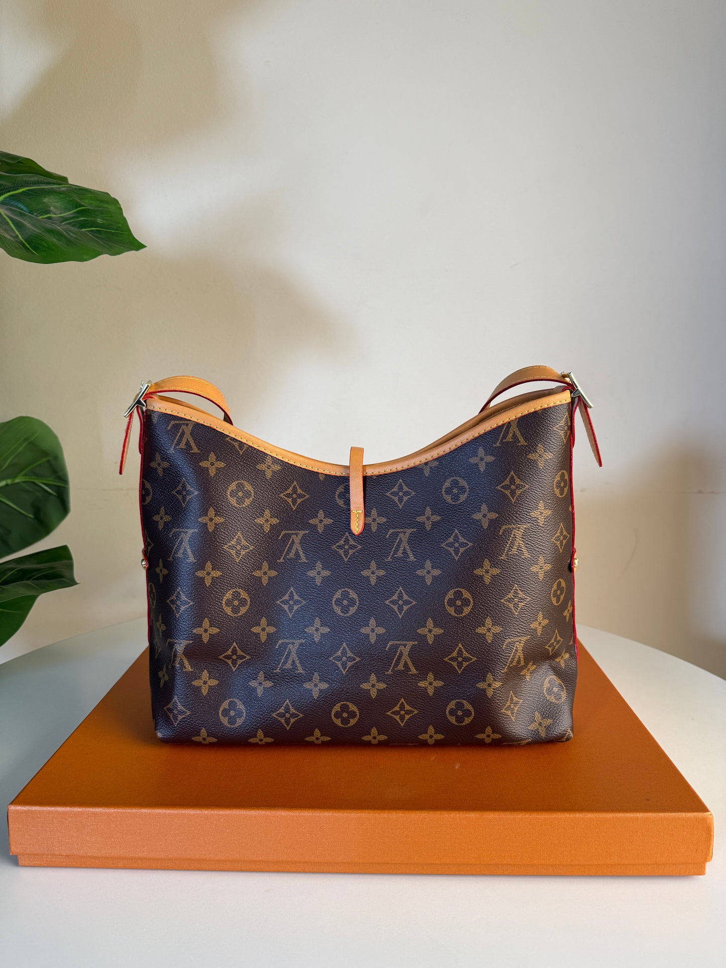 Louis Vuitton carry All pm