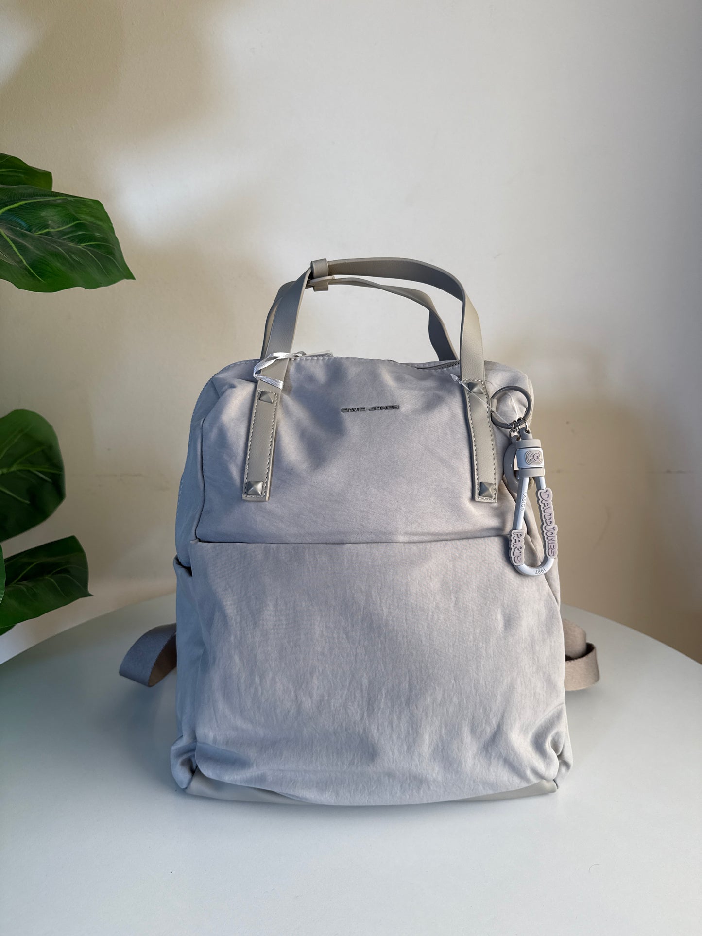 David jones back bag