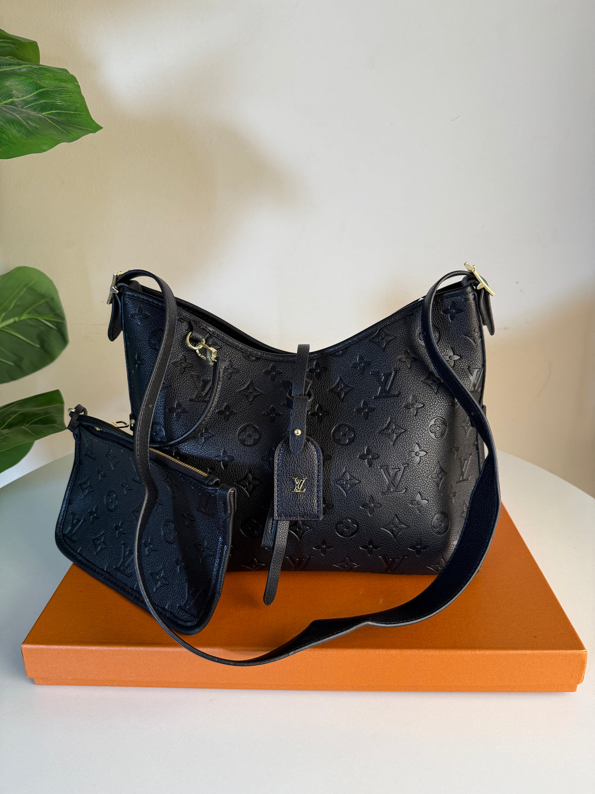 Louis Vuitton carry All pm