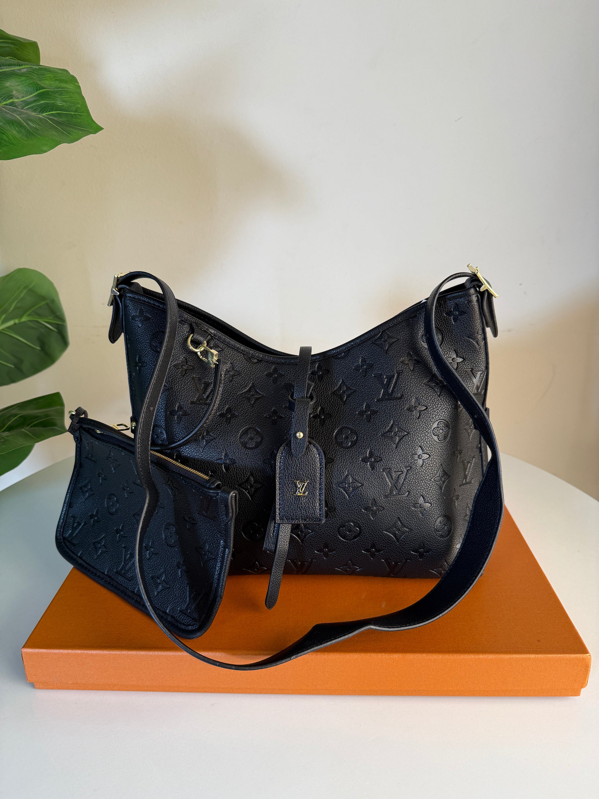 Louis Vuitton carry All pm