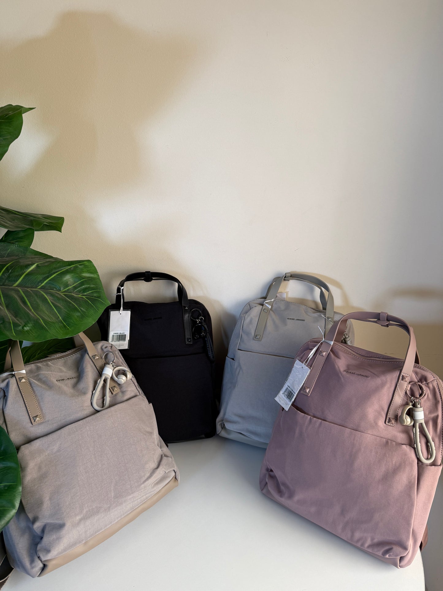 David jones back bag