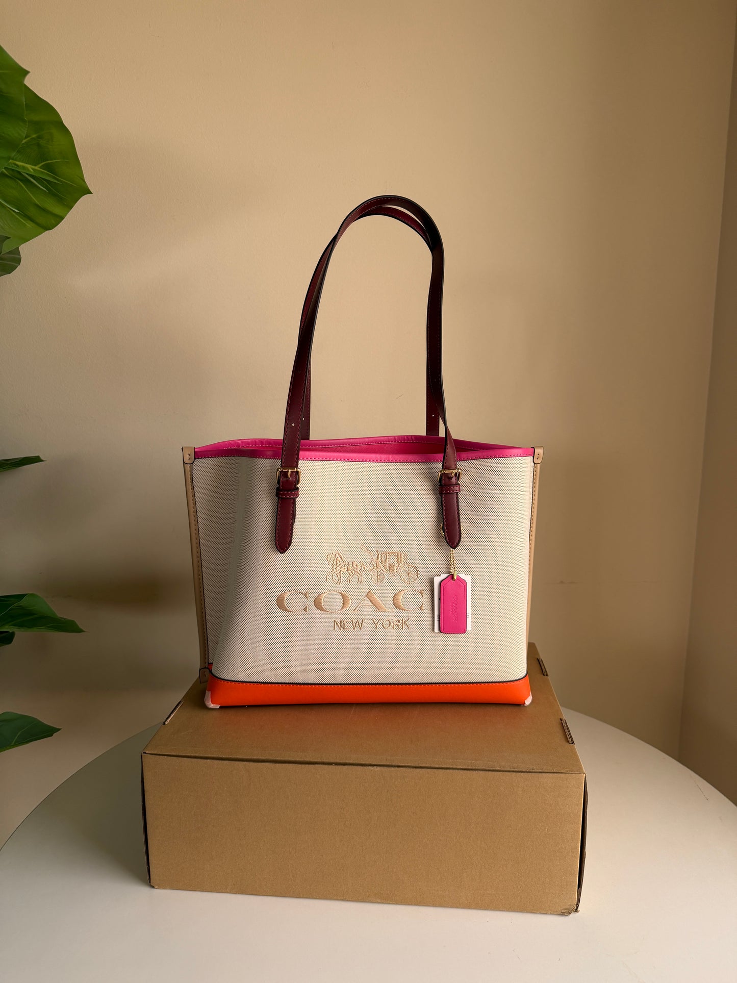 Coach Canvas tote bag 25 (Medium)