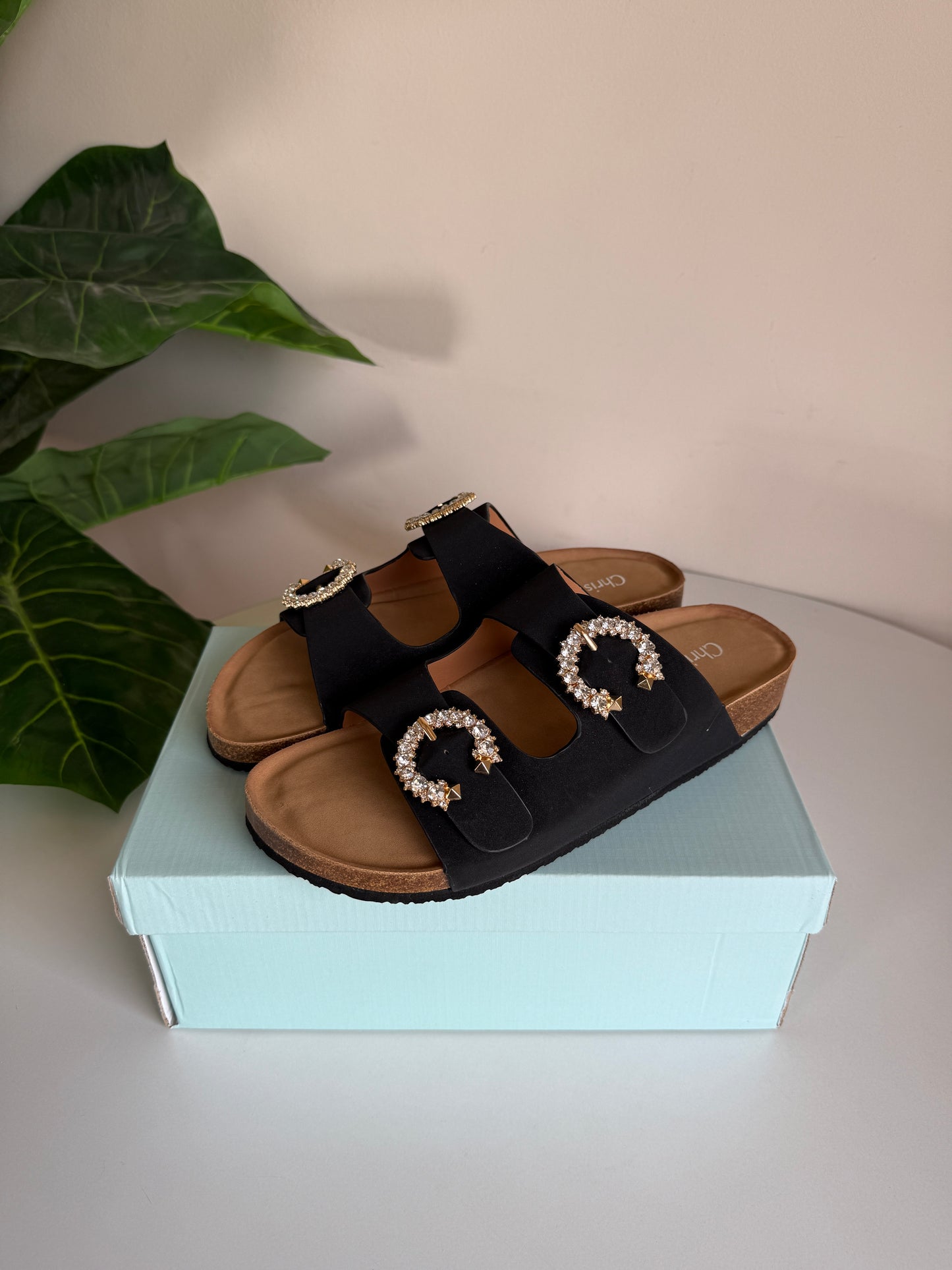 Chrisbella Crystal Slipper (Black)