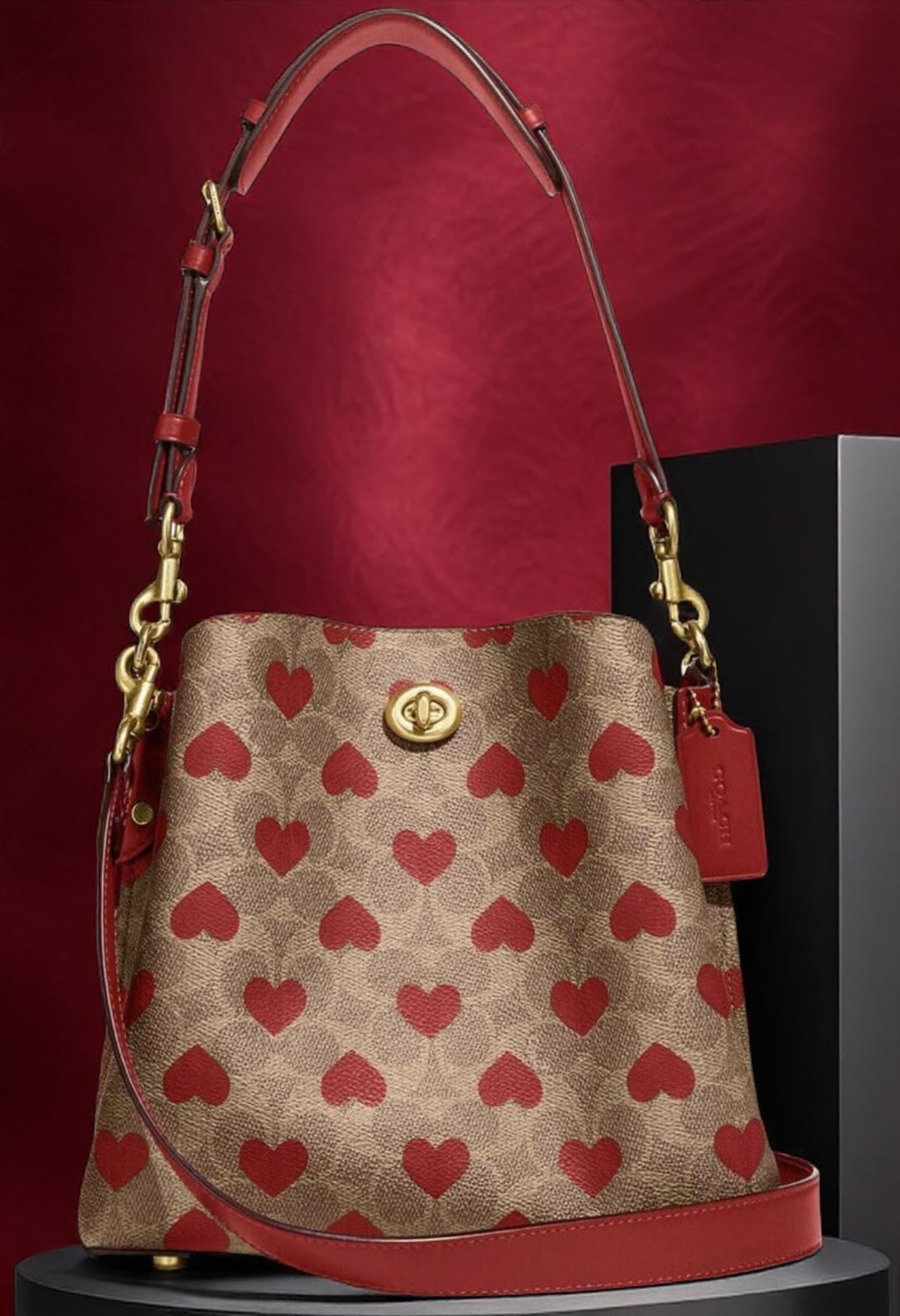 Coach willow Bucket bag 21 (Medium)