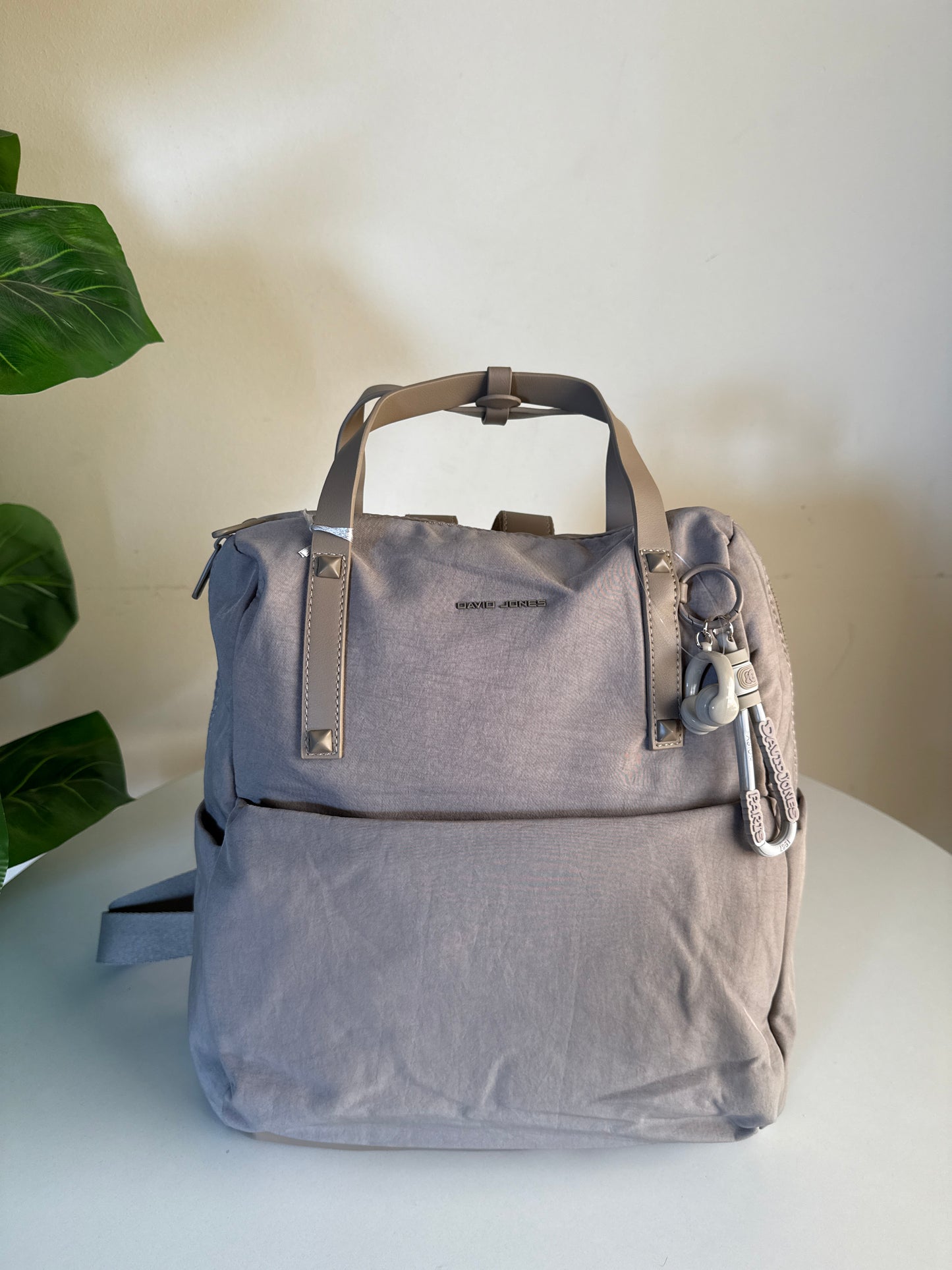 David jones back bag