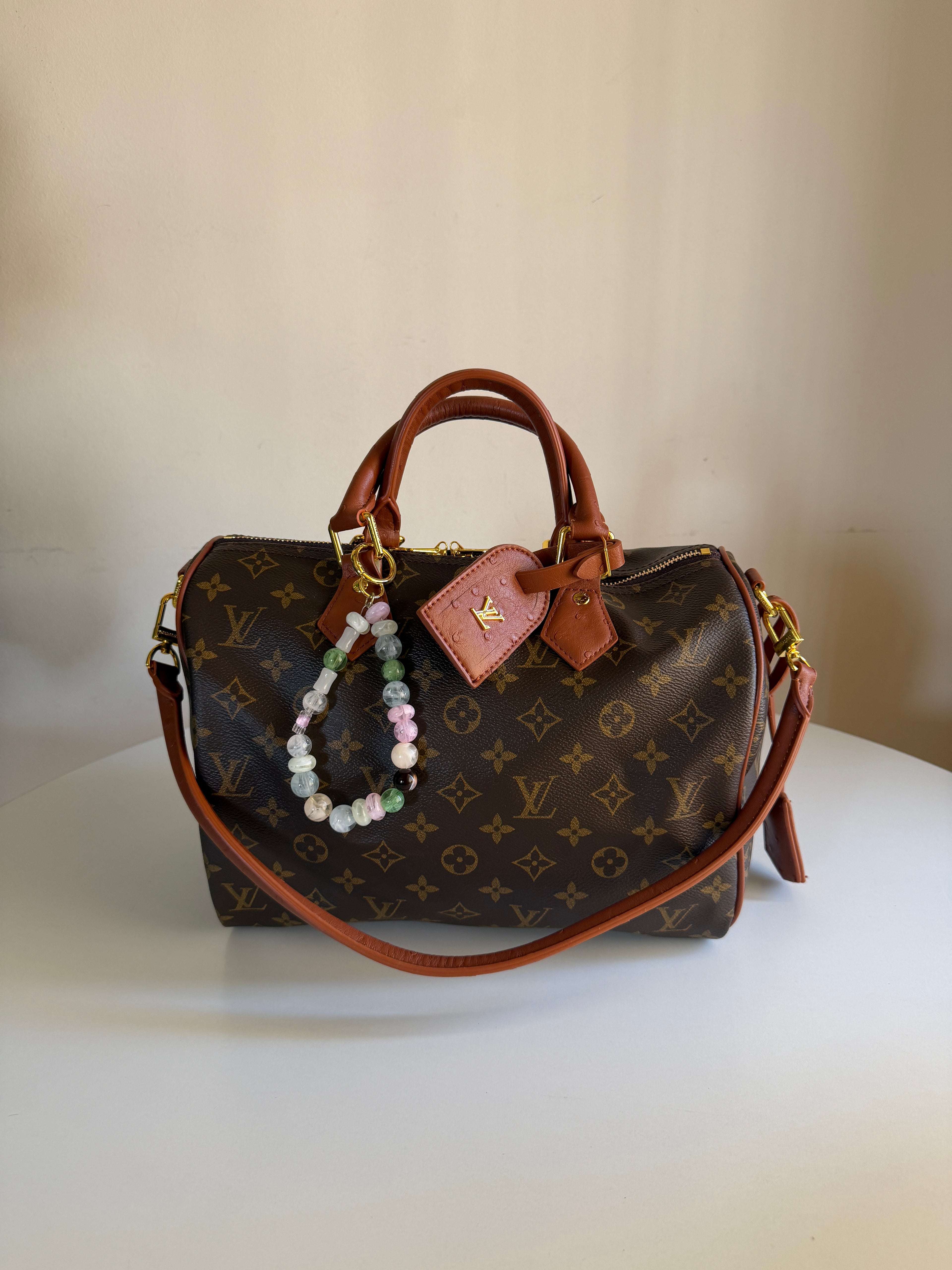 Louis Vuitton Speedy 30 Crafty