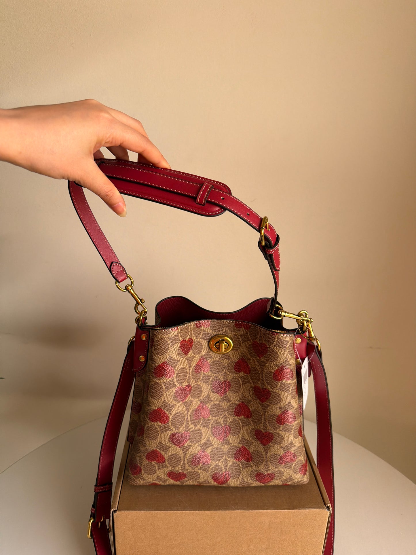 Coach willow Bucket bag 21 (Medium)