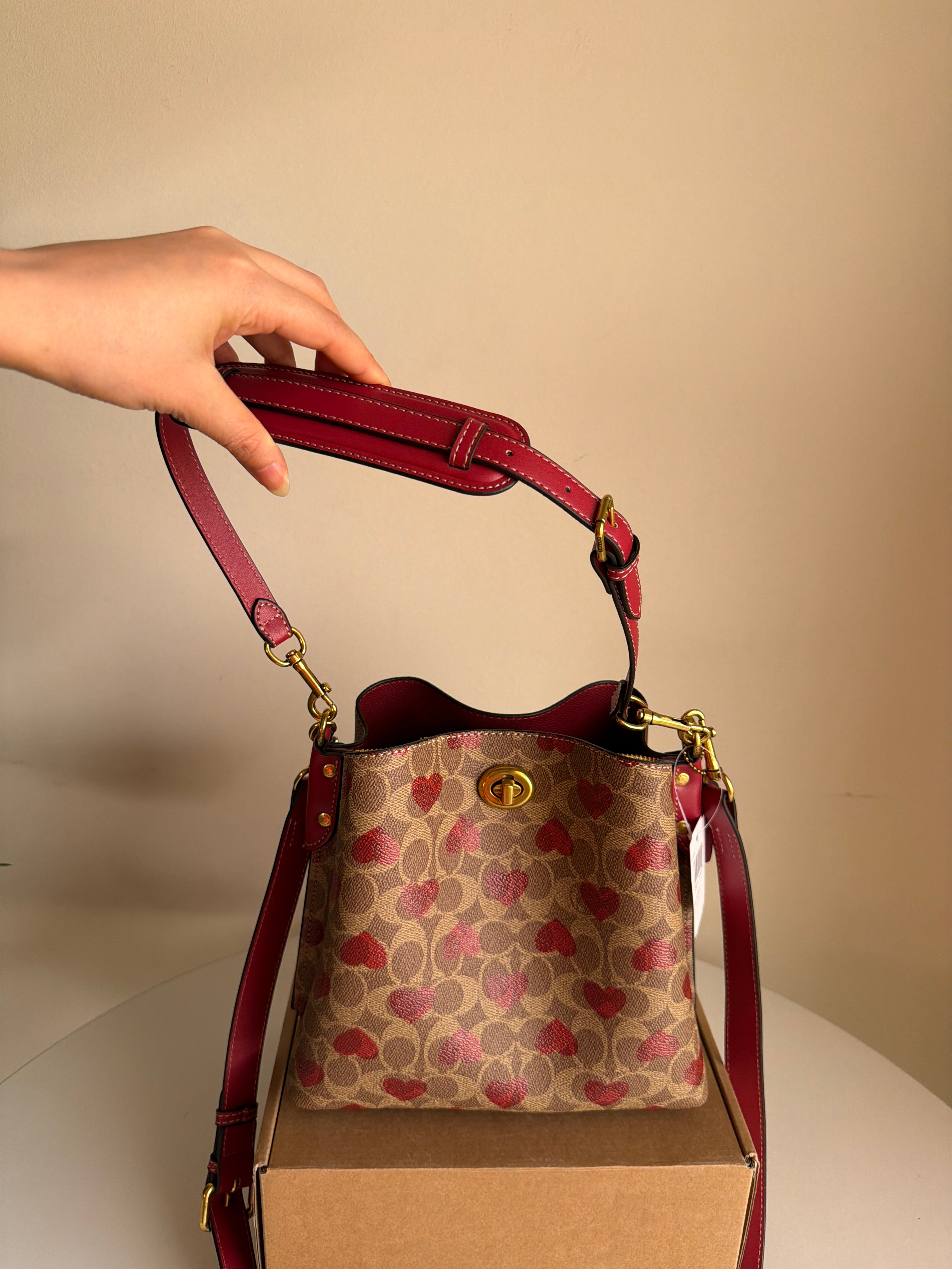 Coach willow Bucket bag 21 (Medium)