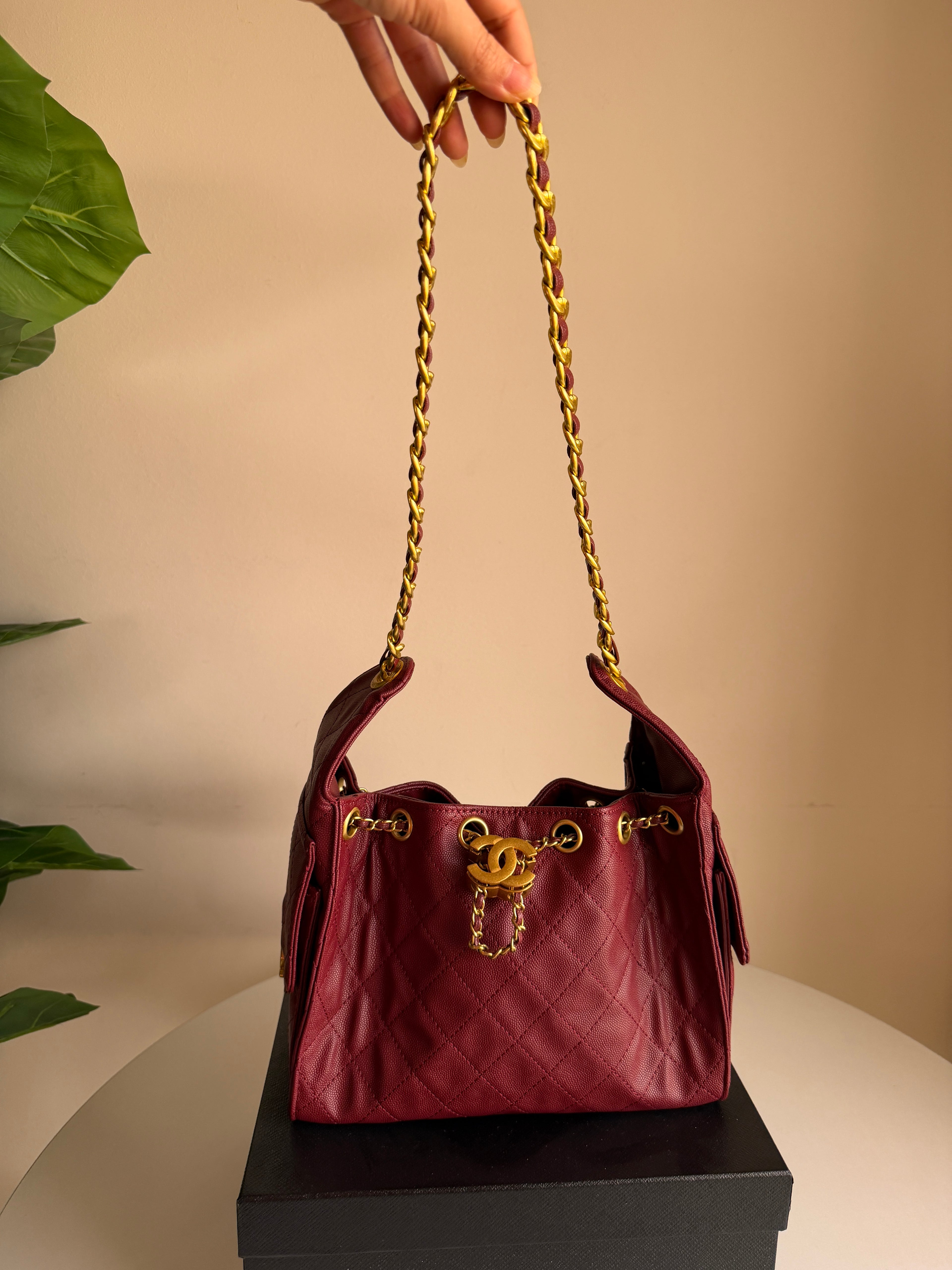 Chanel hobo bag 25