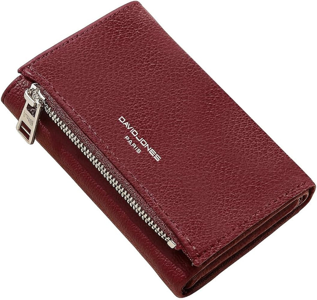 David jones Paris mini wallet