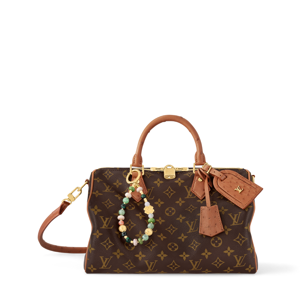 Louis Vuitton Speedy 30 Crafty